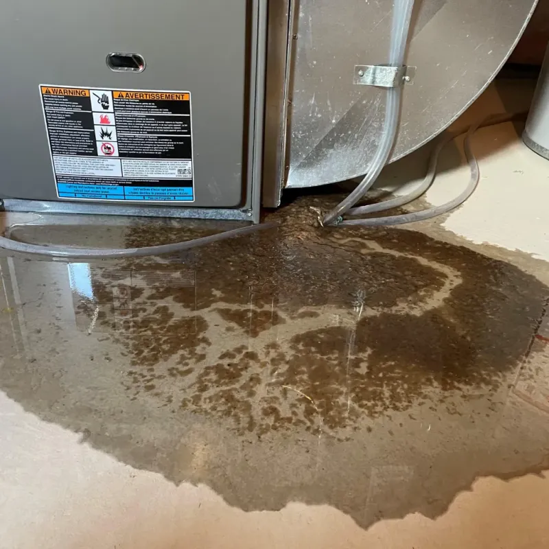 Appliance Leak Cleanup in Mohave Valley, AZ