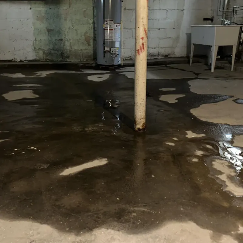 Emergency Water Extraction And Removal in Mohave Valley, AZ